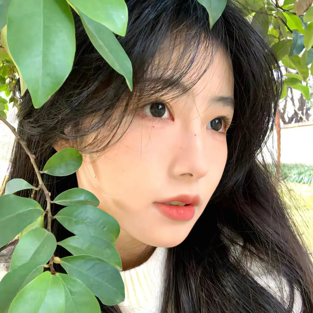 变化的季节